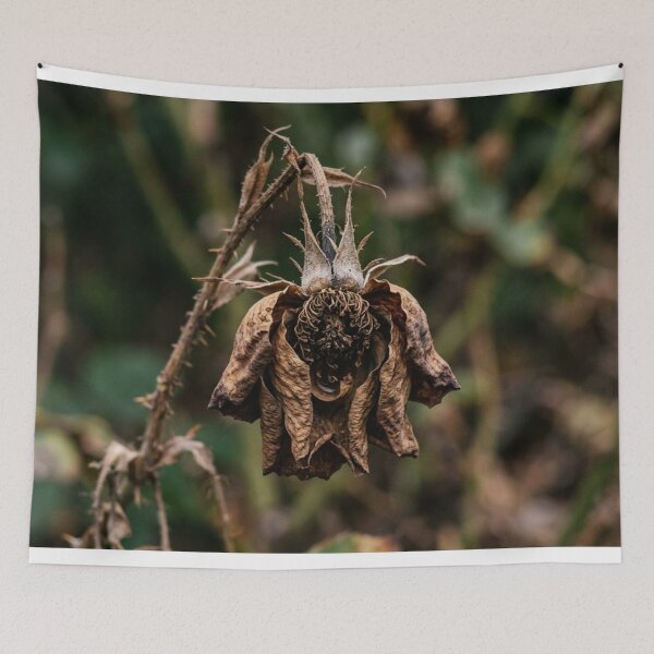 Item preview, A solitary, faded flower. designed and sold by Malisa345.