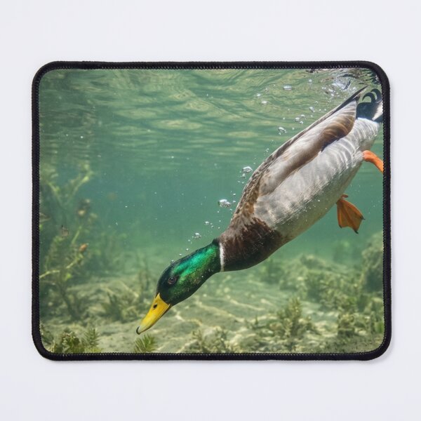 Item preview, Duck diving into the water. designed and sold by Malisa345.
