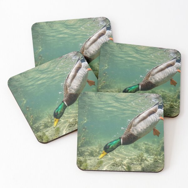 Item preview, Duck diving into the water. designed and sold by Malisa345.