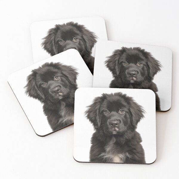 Item preview, Adorable Newfoundland Pup for Cute Newfoundland puppy lovers designed and sold by LazyOwlStore.