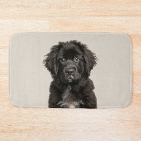 Item preview, Adorable Newfoundland Pup for Cute Newfoundland puppy lovers designed and sold by LazyOwlStore.