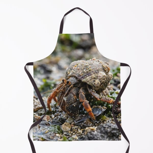 Item preview, Hermit crab with a shell that is not its own. designed and sold by Malisa345.