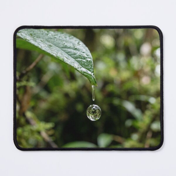 Item preview, Raindrop falling from a leaf. designed and sold by Malisa345.