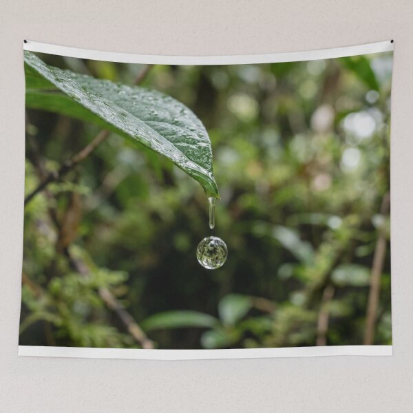 Item preview, Raindrop falling from a leaf. designed and sold by Malisa345.