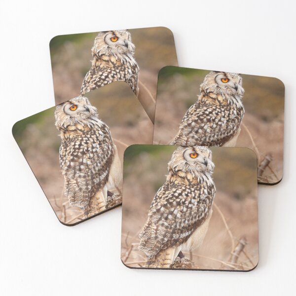 Item preview, TWIT TWOO designed and sold by mohawkphotography.
