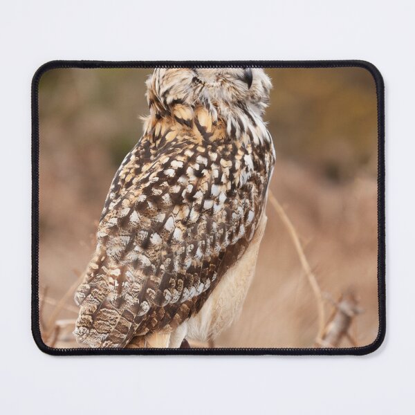 Item preview, TWIT TWOO designed and sold by mohawkphotography.