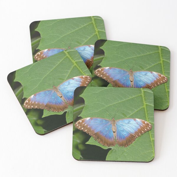 Item preview, Blue Morpho butterfly designed and sold by mohawkphotography.