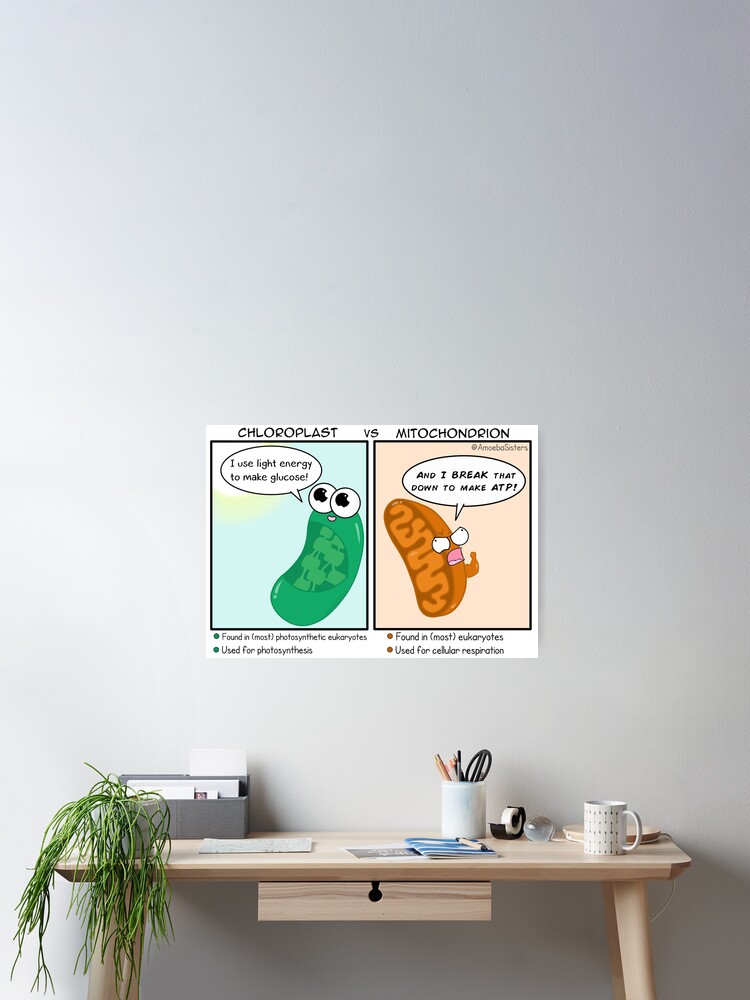Thumbnail 1 of 3, Poster, Team Chloroplast vs Team Mitochondion designed and sold by amoebasisters.