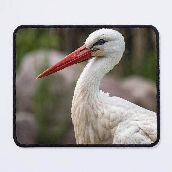 Item preview, White Stork designed and sold by MS.photo.