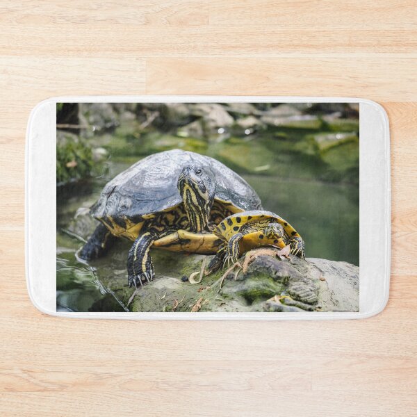 Item preview, Florida Turtle designed and sold by MS.photo.