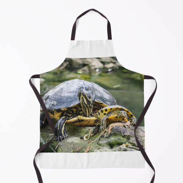 Item preview, Florida Turtle designed and sold by MS.photo.