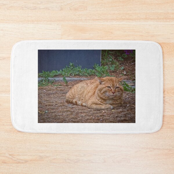 Item preview, The Master of the Sunny Path designed and sold by KORTripFollow.