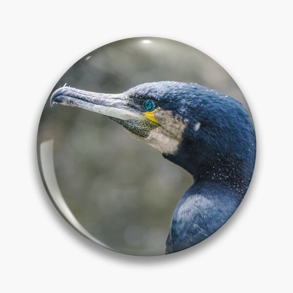 Item preview, Great Cormorant designed and sold by MS.photo.