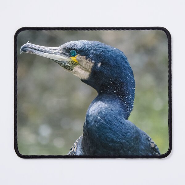 Item preview, Great Cormorant designed and sold by MS.photo.