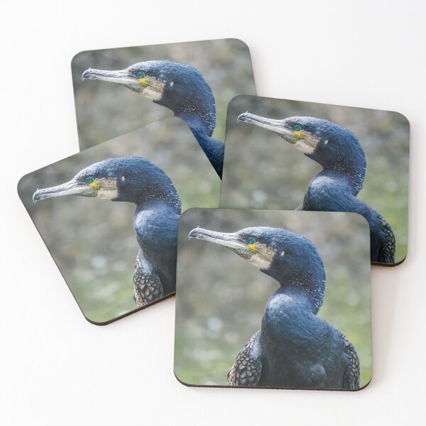 Item preview, Great Cormorant designed and sold by MS.photo.