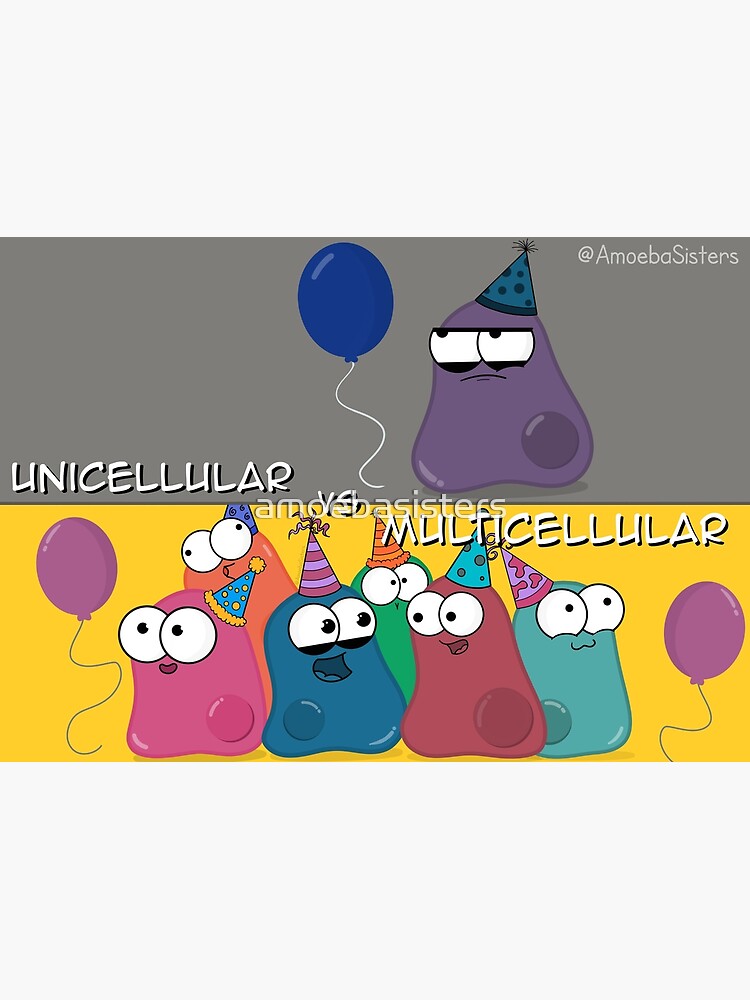 Multicellular vs Unicellular by amoebasisters