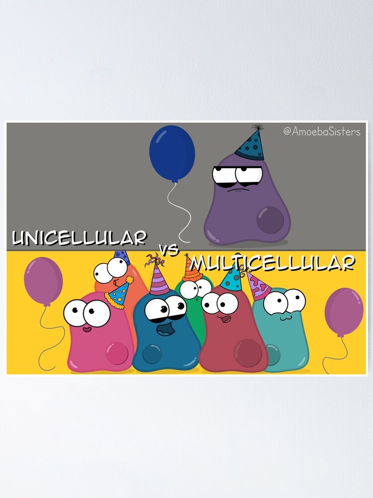 Alternate view of Multicellular vs Unicellular Poster