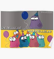 Póster Multicelular vs Unicelular