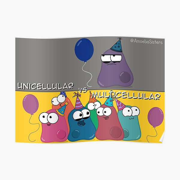 Multicellular vs Unicellular Poster