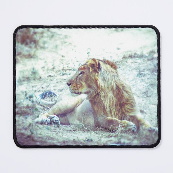 Item preview, Asiatic Lion designed and sold by Neha Gupta.