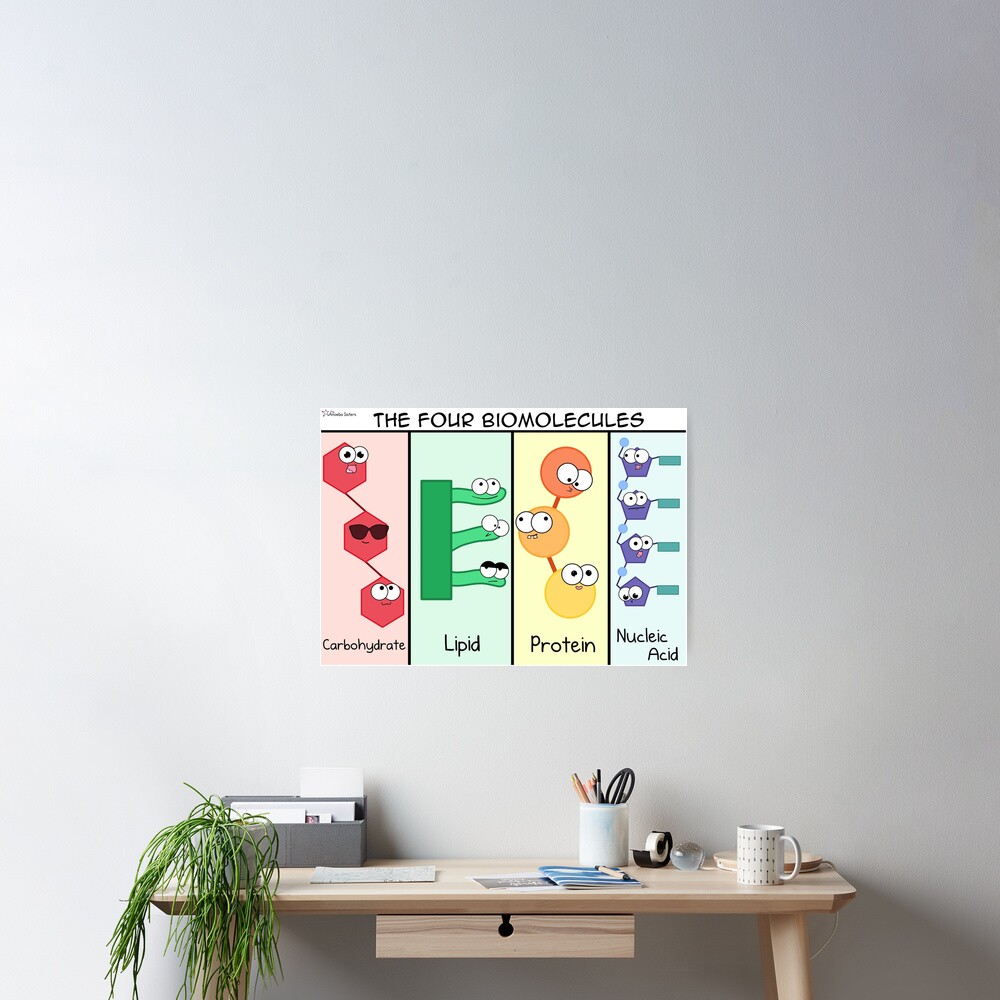 Four Biomolecules Poster Poster
