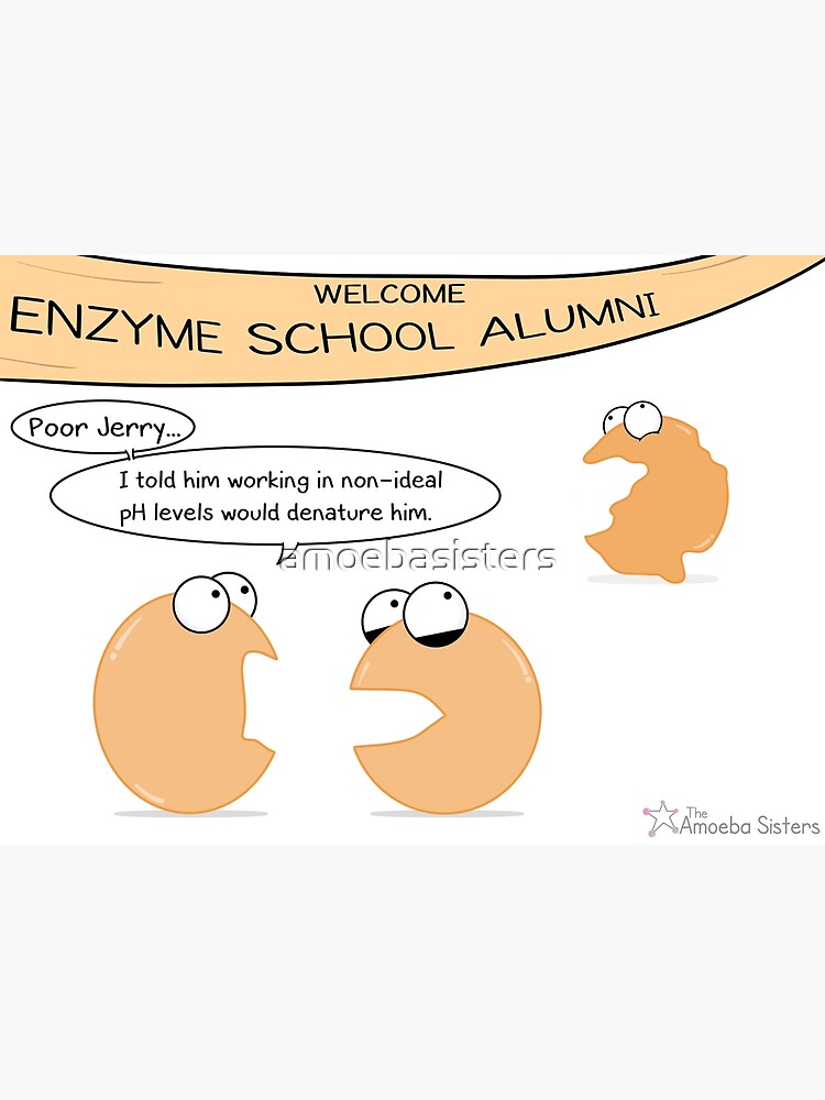 Thumbnail 3 of 3, Poster, Enzyme Gossip designed and sold by amoebasisters.