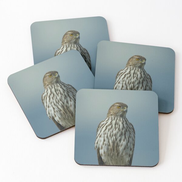 Item preview, Coopers Hawk  designed and sold by Cblifeisgood.