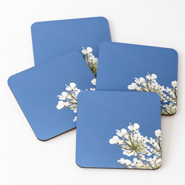Item preview, Queen Anne's Lace REAL photograph designed and sold by GiSilver.
