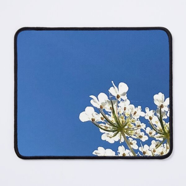Item preview, Queen Anne's Lace REAL photograph designed and sold by GiSilver.