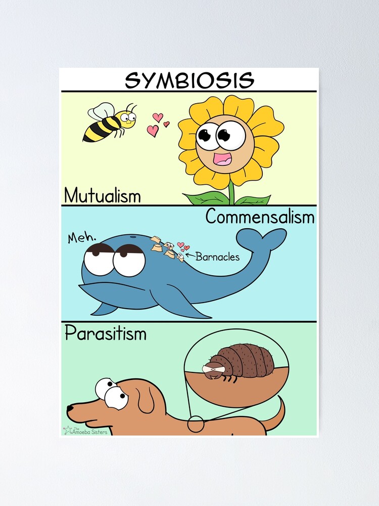 Alternate view of Symbiosis Poster