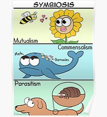Symbiosis Poster