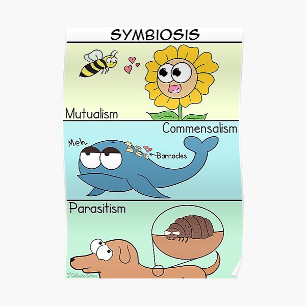 Symbiosis Poster