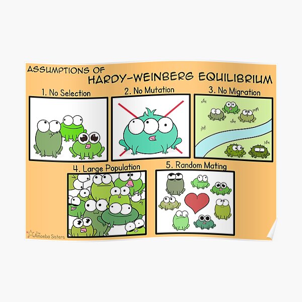 Assumptions of Hardy-Weinberg Equilibrium Poster