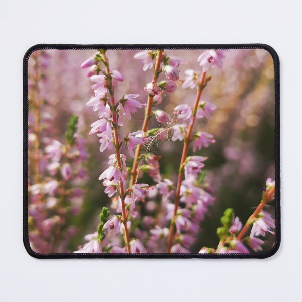Item preview, Soft Pink Heather Wildflower Botanical Photo designed and sold by Kainicram.