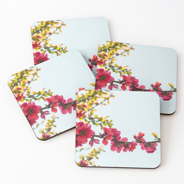 Item preview, Japanese Quince Flower in Early Springtime Bloom  designed and sold by meghan-98.
