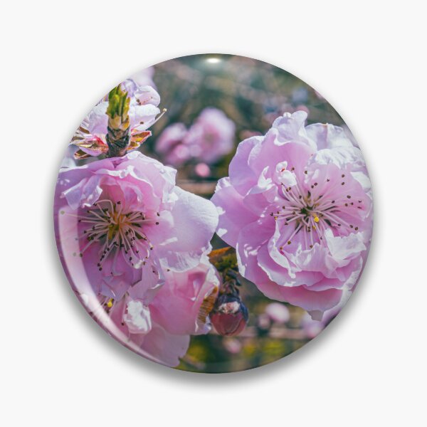 Item preview, Blooming Plum Flowers in Early Spring designed and sold by meghan-98.