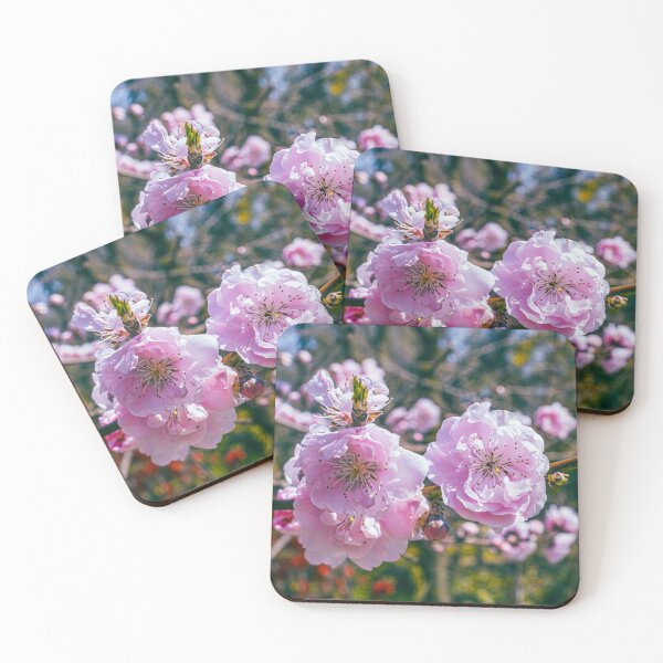 Item preview, Blooming Plum Flowers in Early Spring designed and sold by meghan-98.