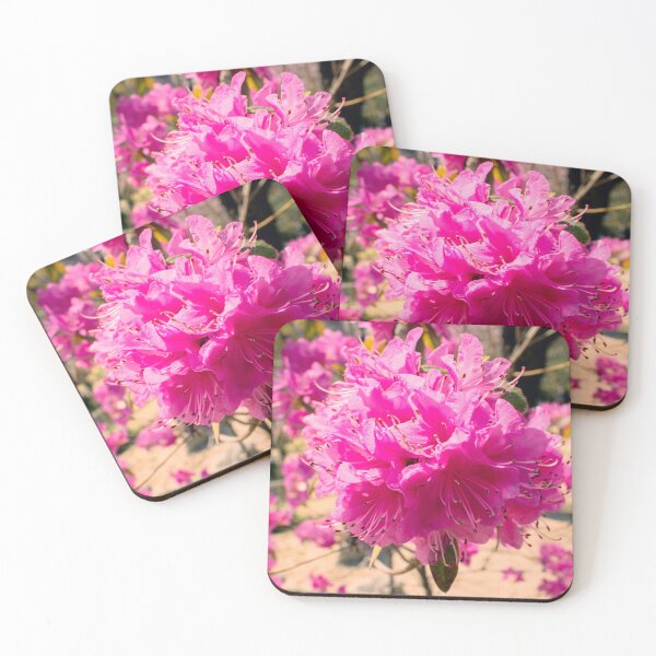 Item preview, Rhododendron Flowers in Bloom designed and sold by meghan-98.