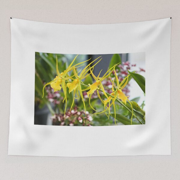 Item preview, Exotic Yellow Orchids in Bloom designed and sold by Cynthia48.