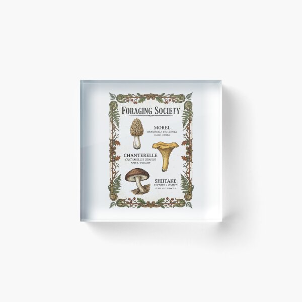 Item preview, Foraging Society Mycology Mushroom Field Guide 2026 designed and sold by FlamaC.