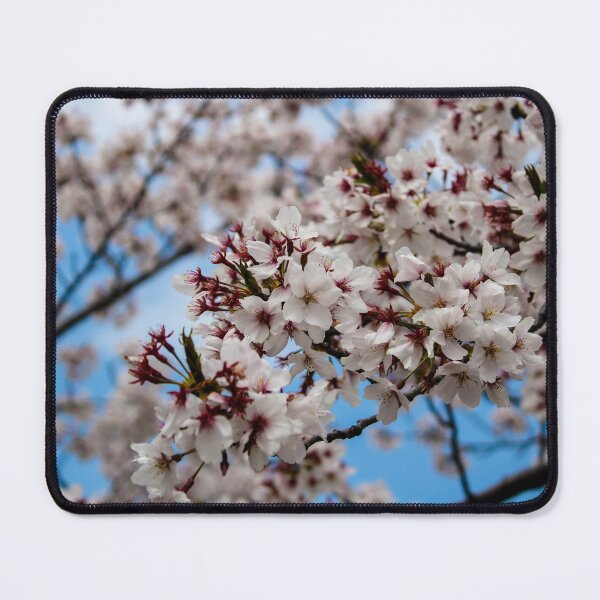 Item preview, Cluster of Sakura designed and sold by meghan-98.