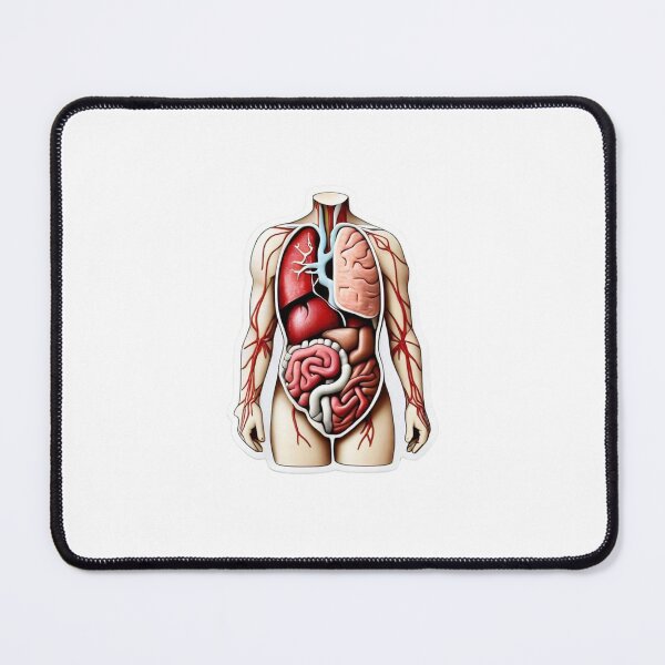 Item preview, Human Anatomy Organs Diagram Retro Arcade Style – Educational Medical Body Cutaway Illustration designed and sold by astersgraphics.