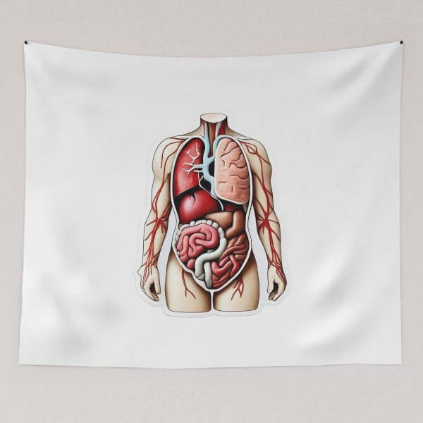 Item preview, Human Anatomy Organs Diagram Retro Arcade Style – Educational Medical Body Cutaway Illustration designed and sold by astersgraphics.