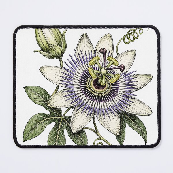 Item preview, Passion Flower designed and sold by lazymarshmello.