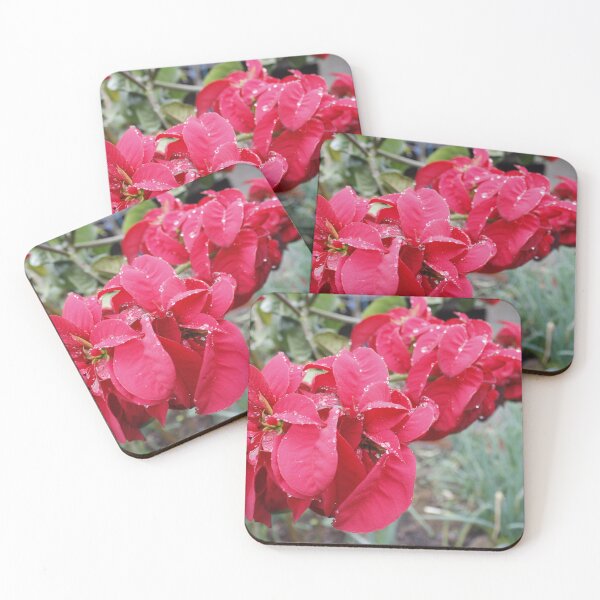 Item preview, Poinsettia: Bract and Velvet Study designed and sold by JhonBotanicalAr.