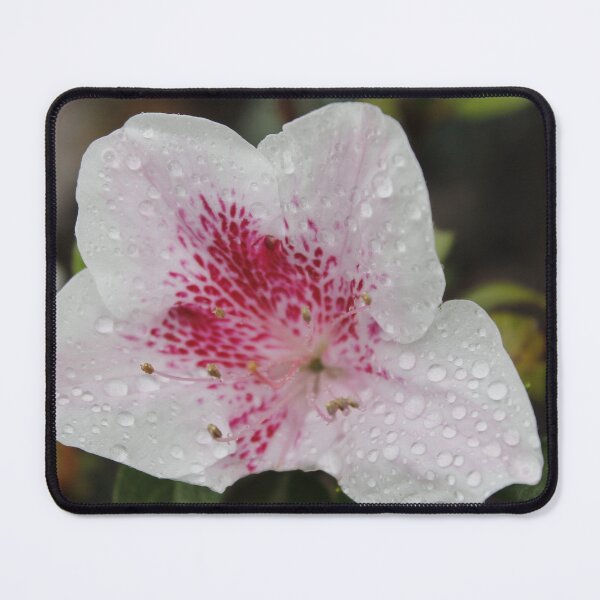Item preview, Azalea: Study of Fragility and Light designed and sold by JhonBotanicalAr.