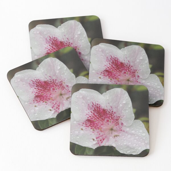 Item preview, Azalea: Study of Fragility and Light designed and sold by JhonBotanicalAr.
