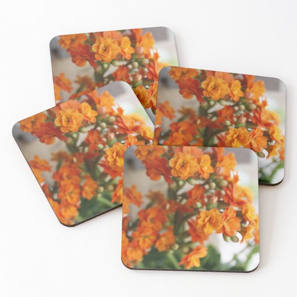 Item preview, Kalanchoe: Study of Structure and Repetition designed and sold by JhonBotanicalAr.