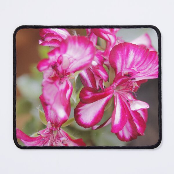 Item preview, Pelargonium: Study of Lines and Texture designed and sold by JhonBotanicalAr.
