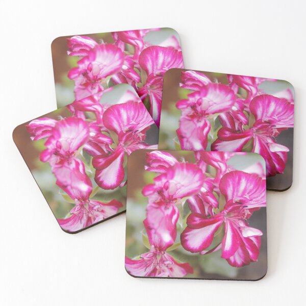 Item preview, Pelargonium: Study of Lines and Texture designed and sold by JhonBotanicalAr.